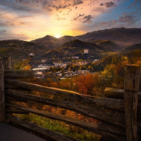 Papa Bear, Hot Tub, Wifi, 1089 Free Tickets Each Paid Day, Dollywood And More 세비어빌 외부 사진
