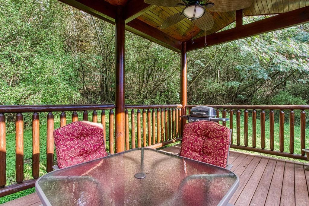 Papa Bear, Hot Tub, Wifi, 1089 Free Tickets Each Paid Day, Dollywood And More 세비어빌 외부 사진