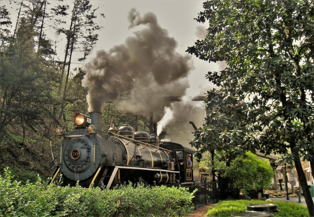 Papa Bear, Hot Tub, Wifi, 1089 Free Tickets Each Paid Day, Dollywood And More 세비어빌 외부 사진