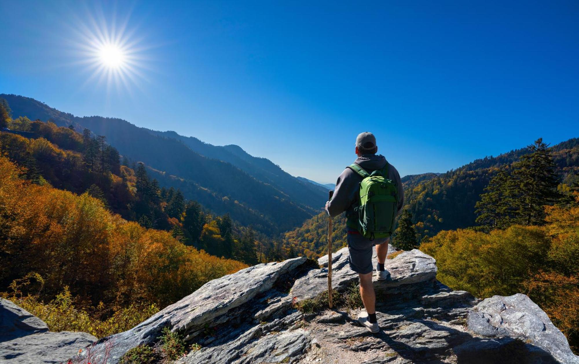 Papa Bear, Hot Tub, Wifi, 1089 Free Tickets Each Paid Day, Dollywood And More 세비어빌 외부 사진