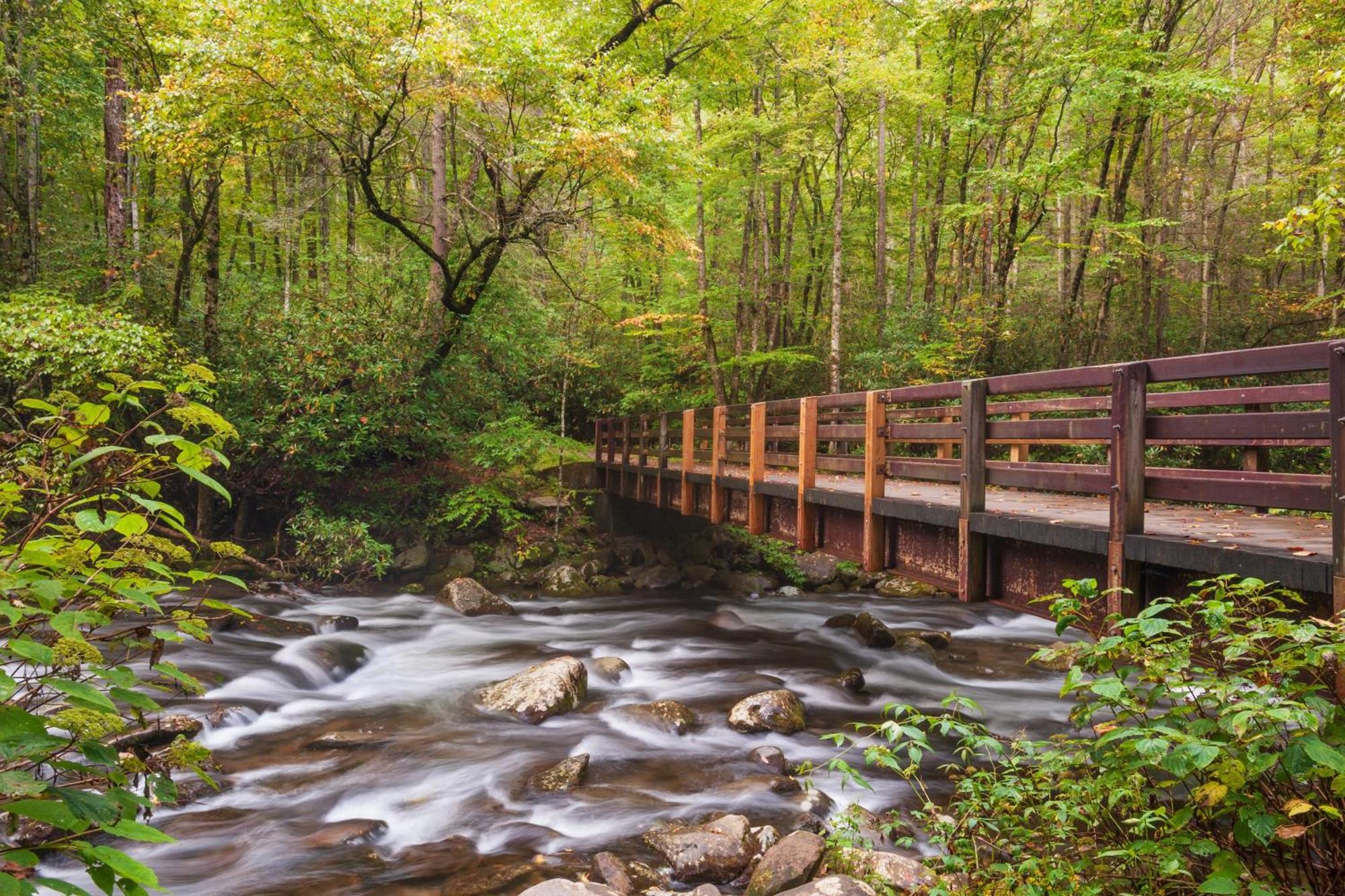 Papa Bear, Hot Tub, Wifi, 1089 Free Tickets Each Paid Day, Dollywood And More 세비어빌 외부 사진